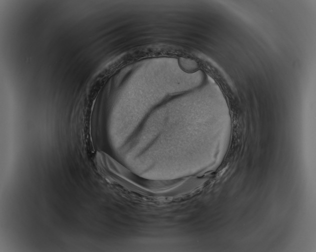 X0000086770919200705111732