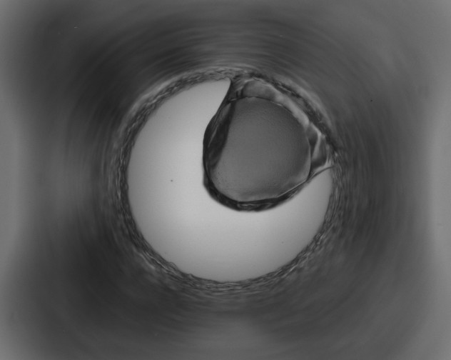 X0000086770920200705111732