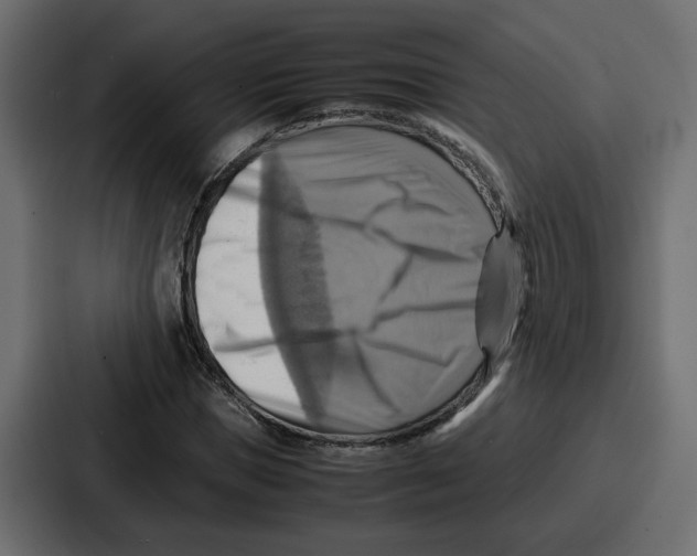 X0000086770921200705111732