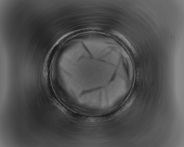 X0000086770923200705111732
