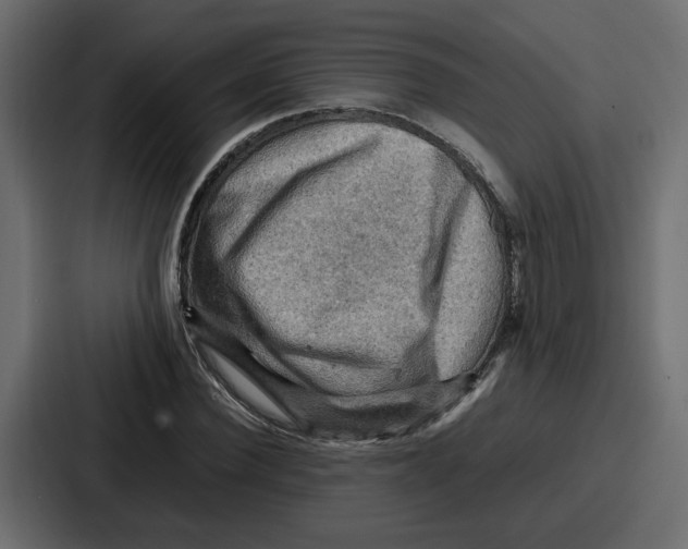X0000086770924200705111732