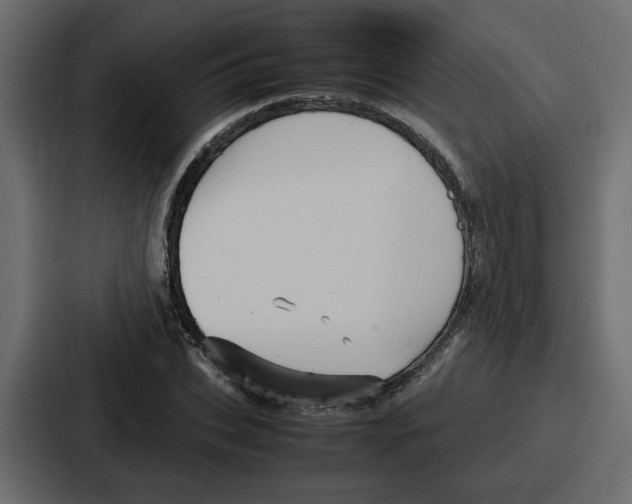X0000086770927200705111732