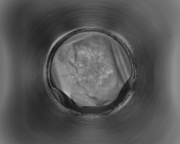 X0000086770928200705111732