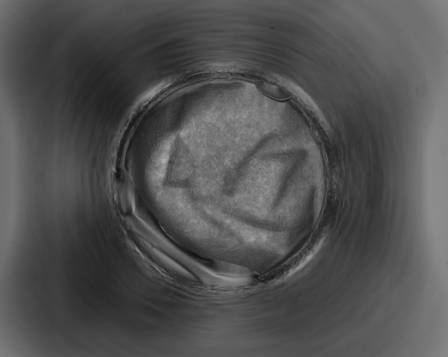 X0000086770930200705111732