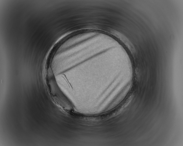 X0000086770931200705111732