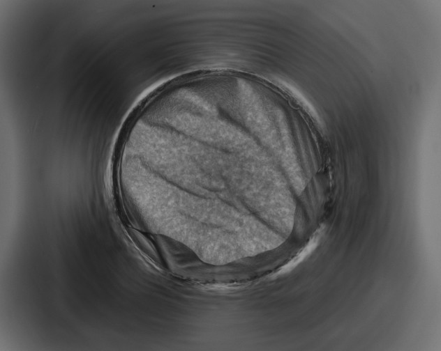 X0000086770932200705111732