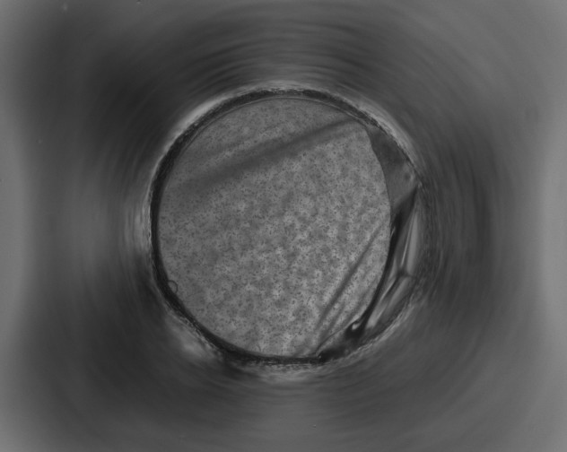 X0000086770934200705111732
