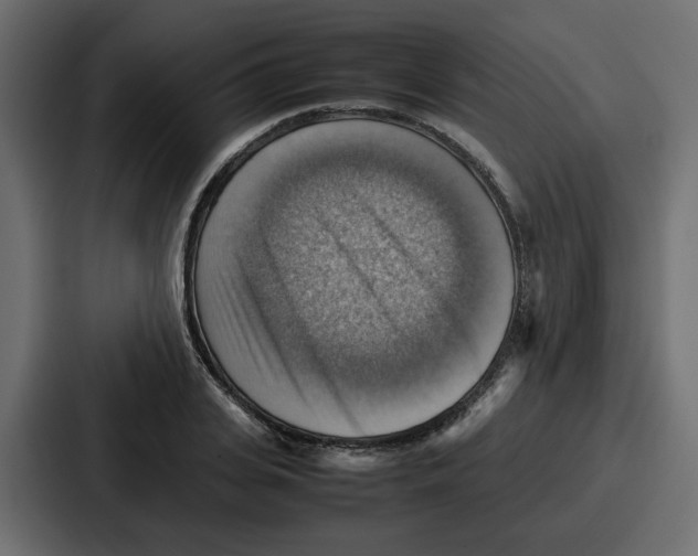 X0000086770935200705111732