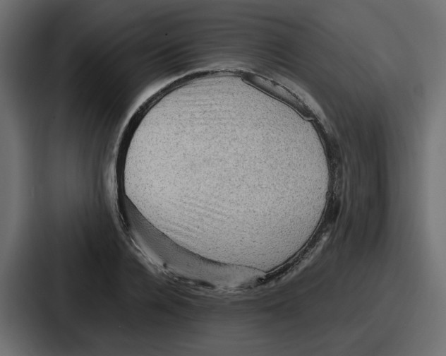 X0000086770936200705111732