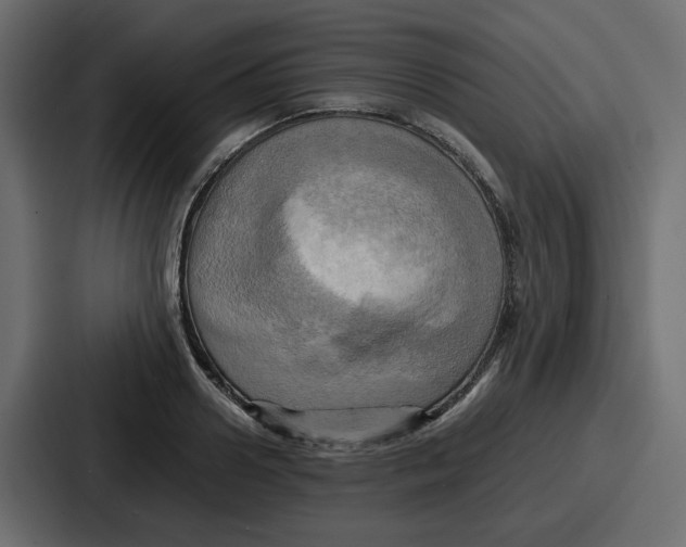X0000086770938200705111732