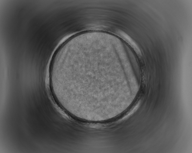 X0000086770940200705111732