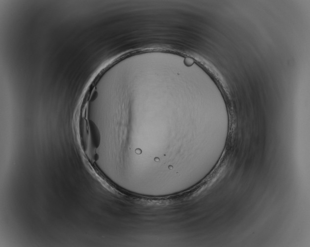 X0000086770941200705111732
