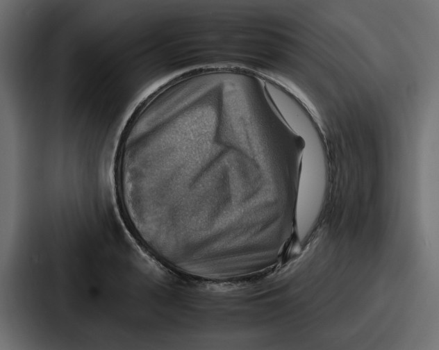 X0000086770943200705111732