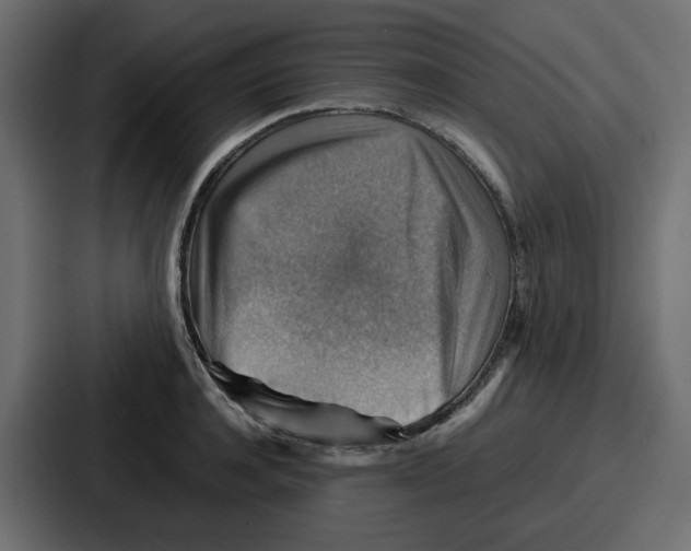 X0000086770944200705111732