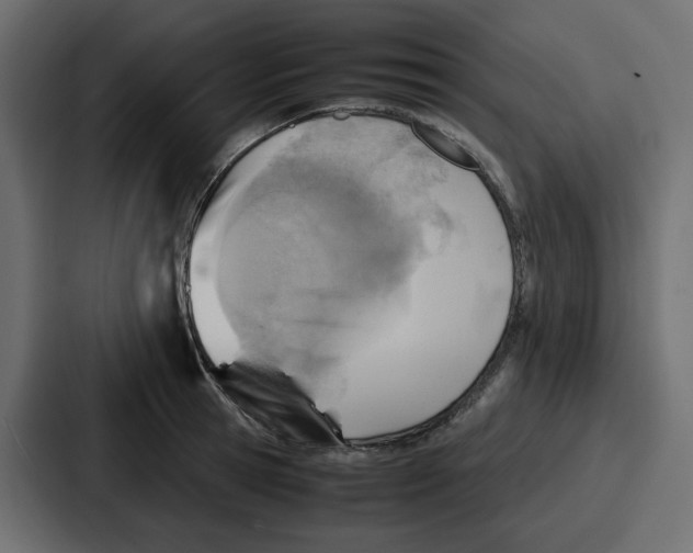 X0000086770945200705111732