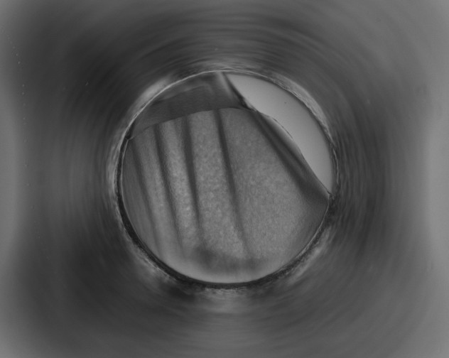 X0000086770946200705111732