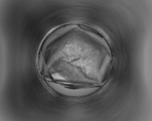 X0000086770948200705111732