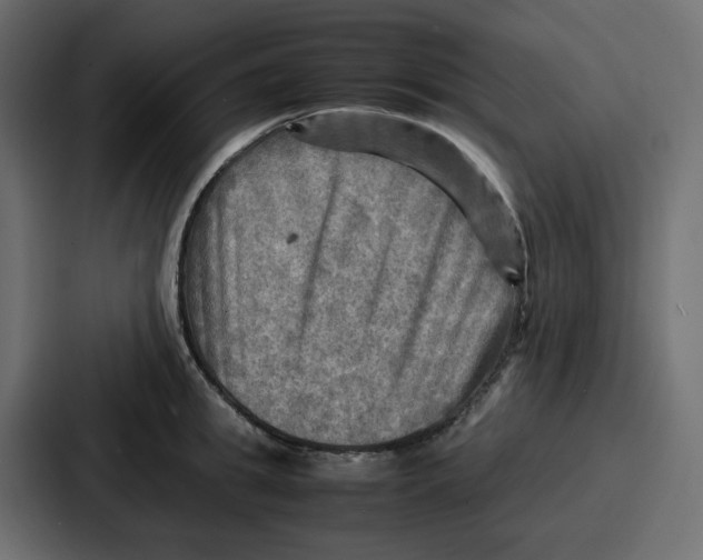X0000086770949200705111732
