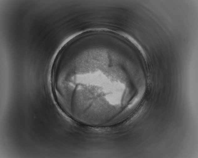 X0000086770951200705111732