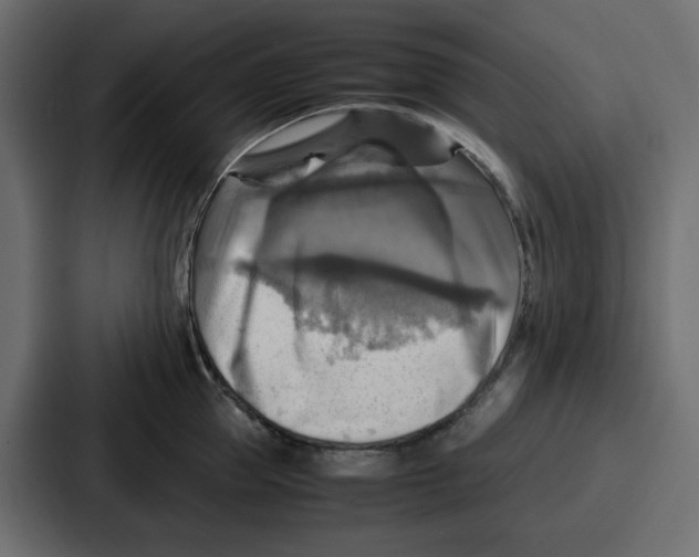 X0000086770953200705111732