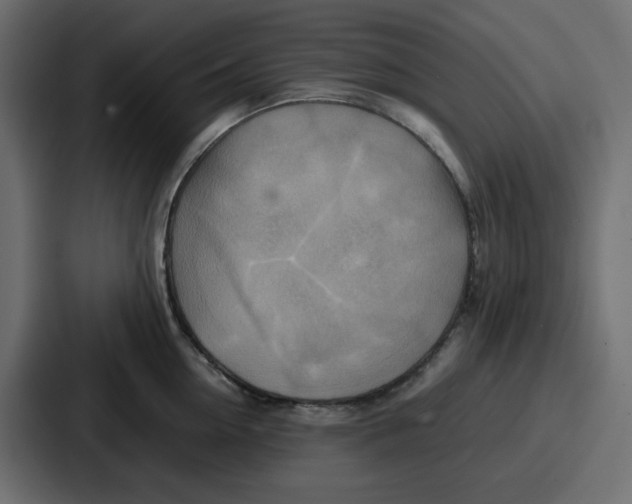 X0000086770954200705111732