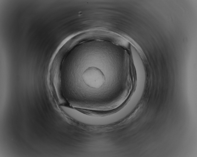 X0000086770956200705111732
