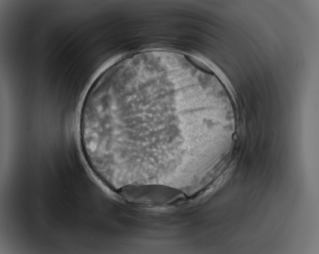 X0000086770957200705111732