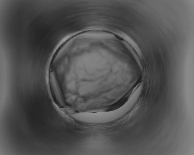 X0000086770958200705111732