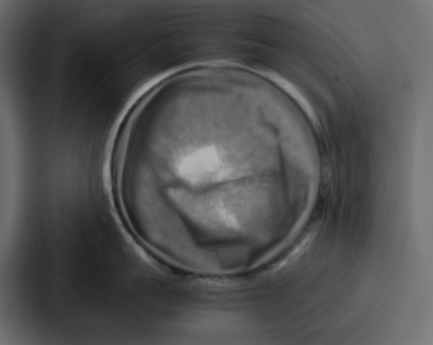 X0000086770959200705111732
