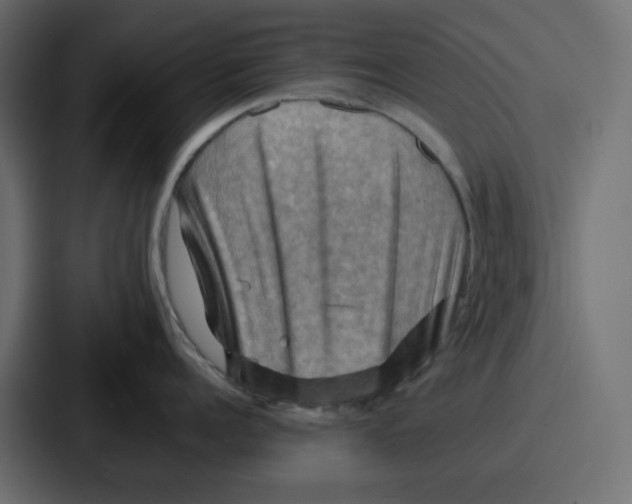 X0000086770960200705111732