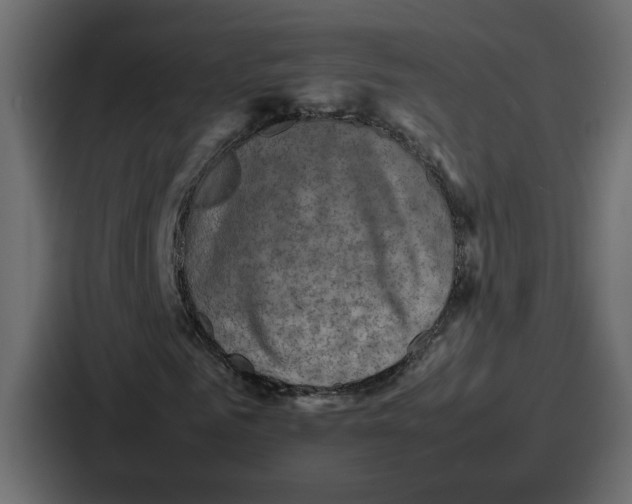 X0000086770961200705111732