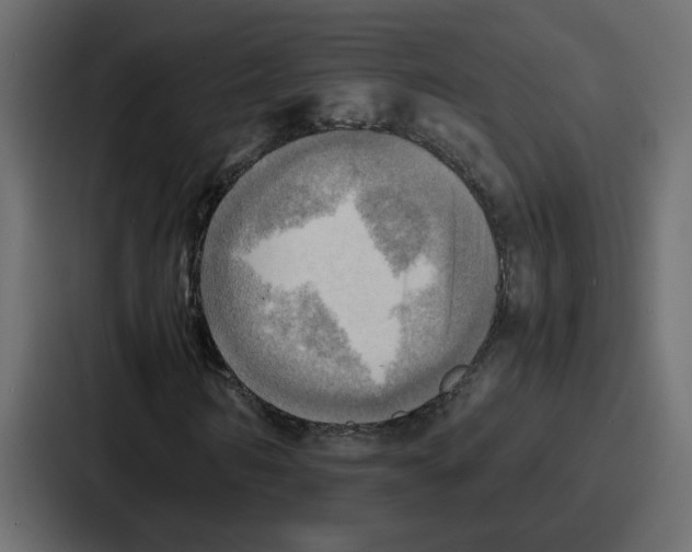 X0000086770962200705111732
