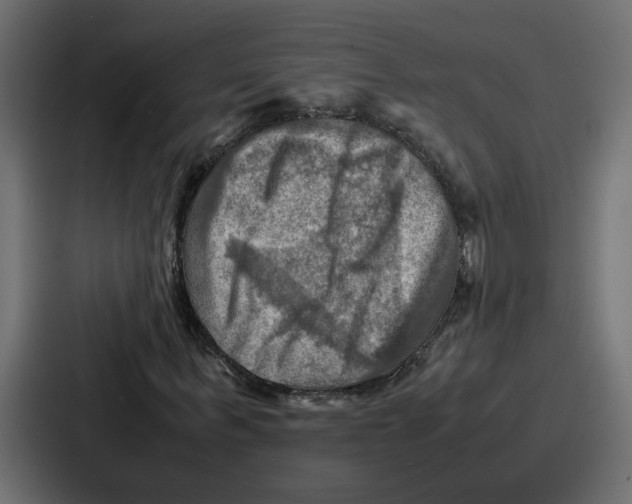 X0000086770963200705111732