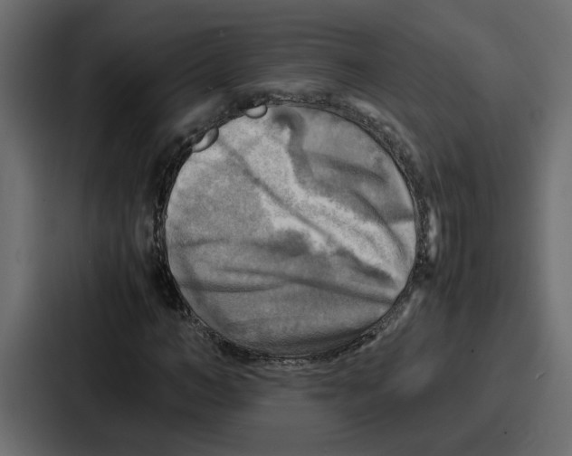 X0000086770966200705111732