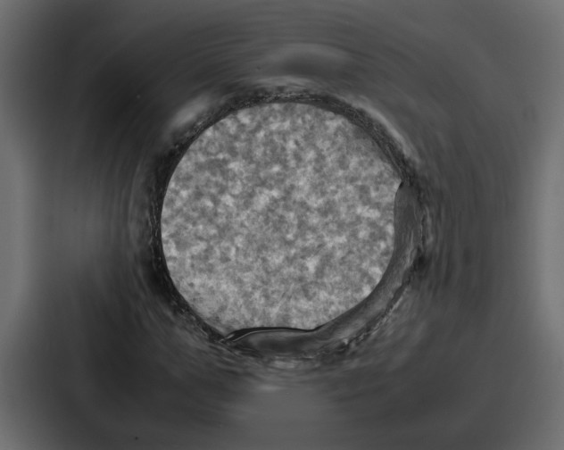 X0000086770967200705111732