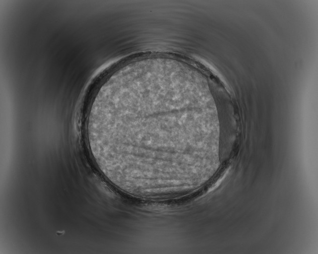 X0000086770971200705111732