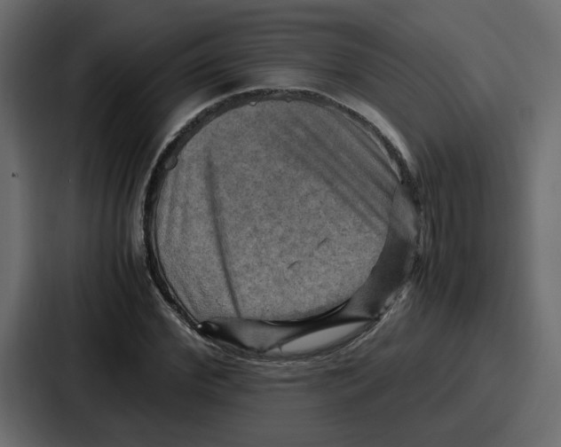 X0000086770972200705111732