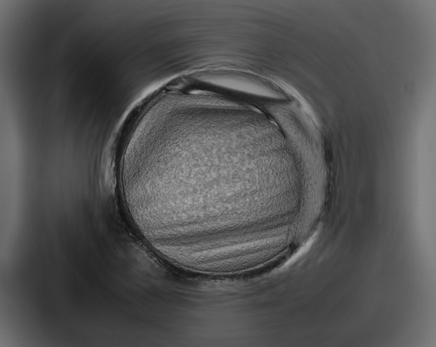 X0000086770973200705111732
