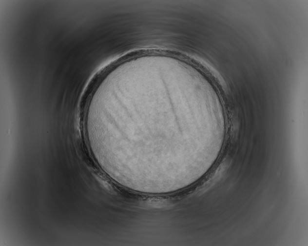 X0000086770974200705111732