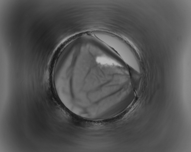 X0000086770975200705111732