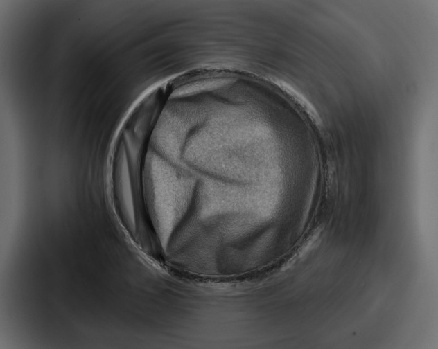 X0000086770976200705111732