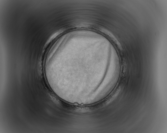 X0000086770978200705111732