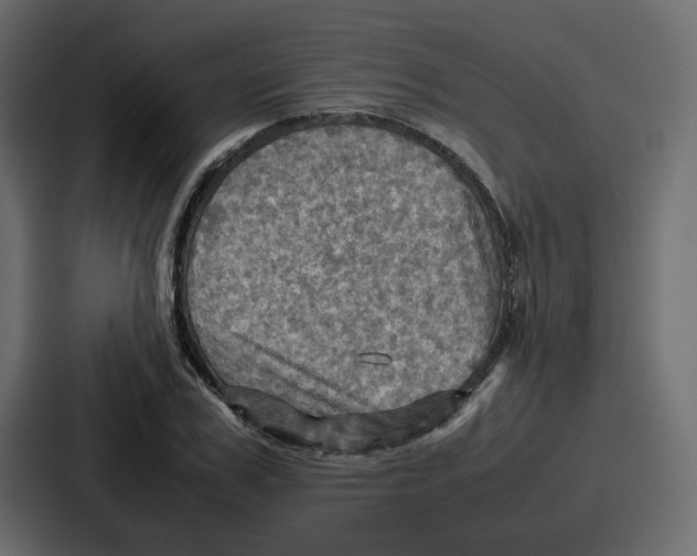X0000086770979200705111732