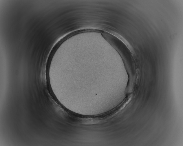 X0000086770980200705111732