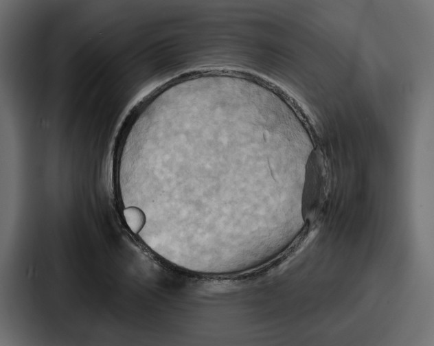 X0000086770982200705111732