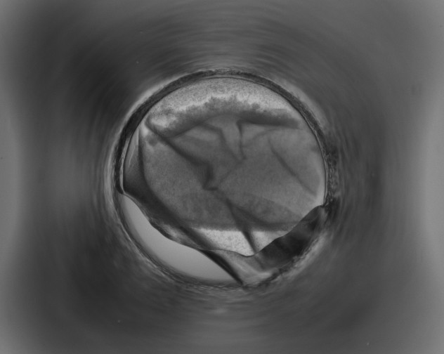 X0000086770983200705111732