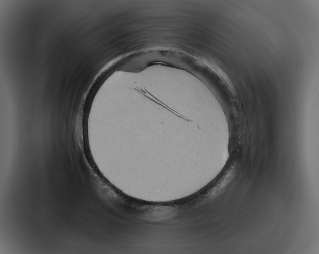 X0000086770984200705111732