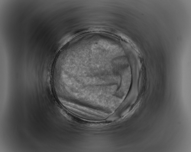 X0000086770985200705111731