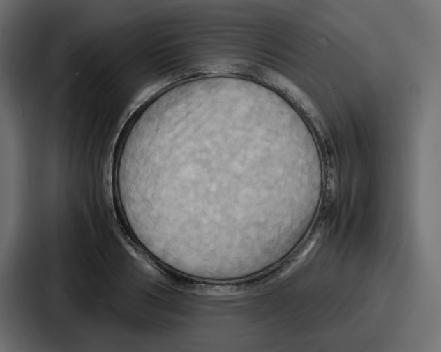 X0000086770986200705111731