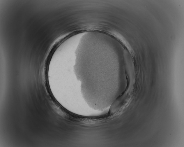 X0000086770987200705111731